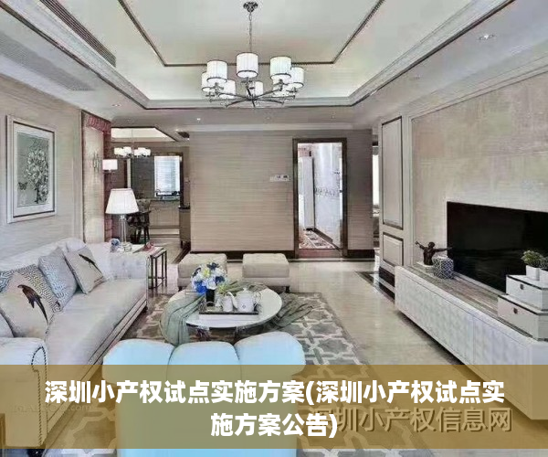 深圳小产权试点实施方案(深圳小产权试点实施方案公告)