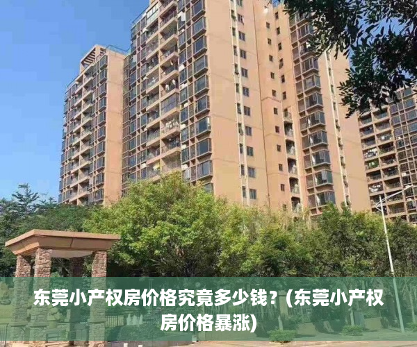 东莞小产权房价格究竟多少钱？(东莞小产权房价格暴涨)
