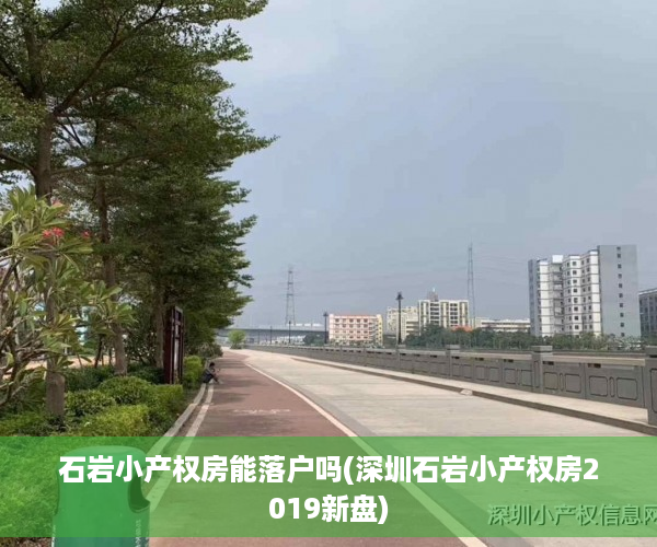 石岩小产权房能落户吗(深圳石岩小产权房2019新盘)