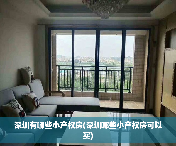 深圳有哪些小产权房(深圳哪些小产权房可以买)