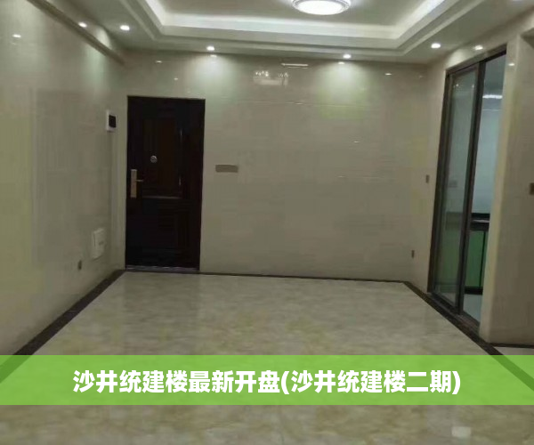 沙井统建楼最新开盘(沙井统建楼二期)