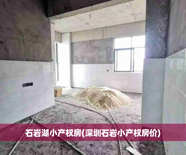 石岩湖小产权房(深圳石岩小产权房价)