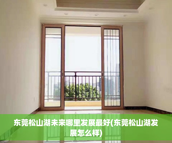 东莞松山湖未来哪里发展最好(东莞松山湖发展怎么样)