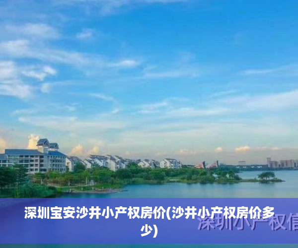 深圳宝安沙井小产权房价(沙井小产权房价多少)