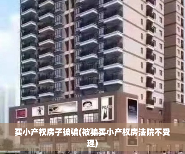 买小产权房子被骗(被骗买小产权房法院不受理)