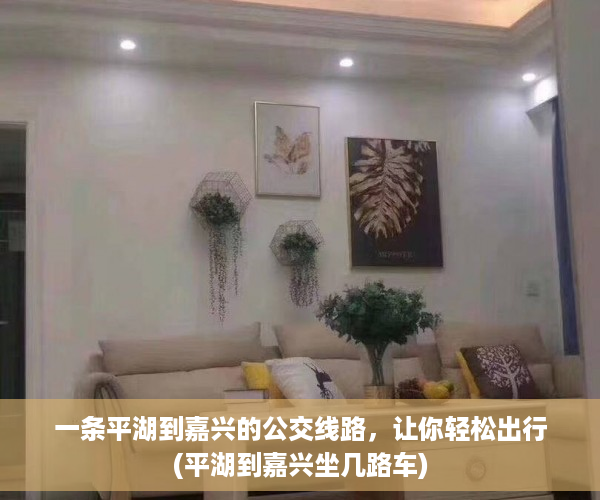 一条平湖到嘉兴的公交线路，让你轻松出行(平湖到嘉兴坐几路车)