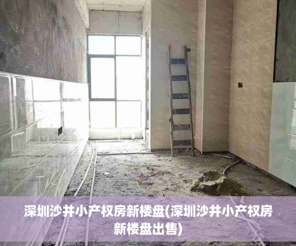 深圳沙井小产权房新楼盘(深圳沙井小产权房新楼盘出售)