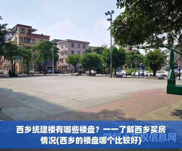 西乡统建楼有哪些楼盘？一一了解西乡买房情况(西乡的楼盘哪个比较好)