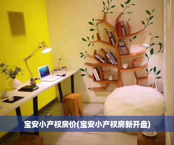 宝安小产权房价(宝安小产权房新开盘)
