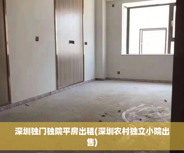 深圳独门独院平房出租(深圳农村独立小院出售)