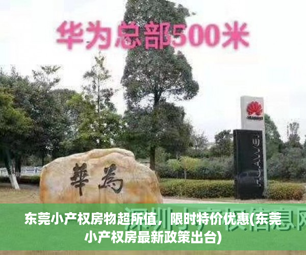 东莞小产权房物超所值，限时特价优惠(东莞小产权房最新政策出台)