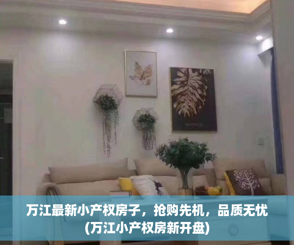 万江最新小产权房子，抢购先机，品质无忧(万江小产权房新开盘)