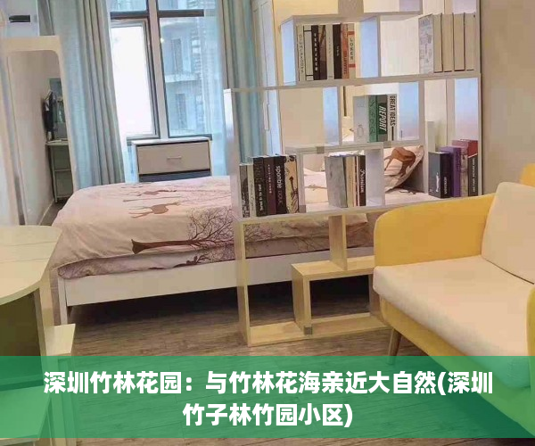 深圳竹林花园：与竹林花海亲近大自然(深圳竹子林竹园小区)