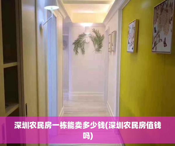深圳农民房一栋能卖多少钱(深圳农民房值钱吗)