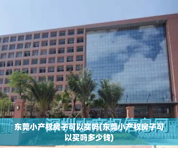 东莞小产权房子可以买吗(东莞小产权房子可以买吗多少钱)