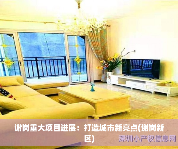 谢岗重大项目进展：打造城市新亮点(谢岗新区)