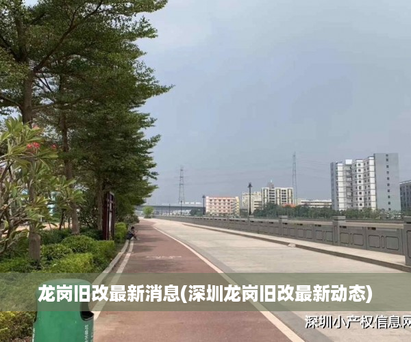 龙岗旧改最新消息(深圳龙岗旧改最新动态)