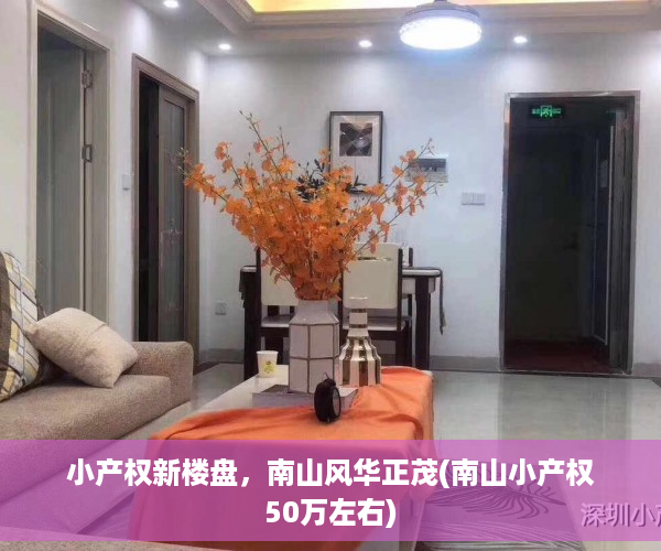 小产权新楼盘，南山风华正茂(南山小产权50万左右)