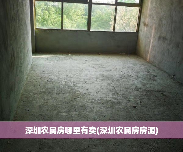 深圳农民房哪里有卖(深圳农民房房源)