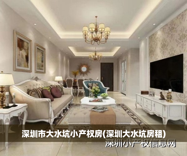 深圳市大水坑小产权房(深圳大水坑房租)