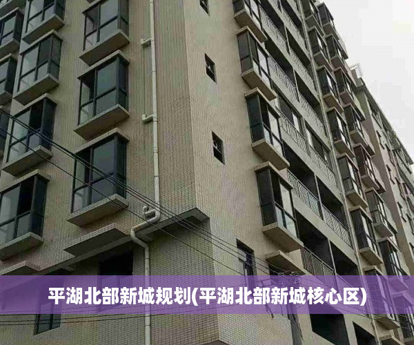 平湖北部新城规划(平湖北部新城核心区)