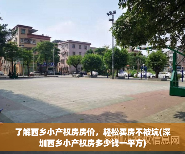 了解西乡小产权房房价，轻松买房不被坑(深圳西乡小产权房多少钱一平方)