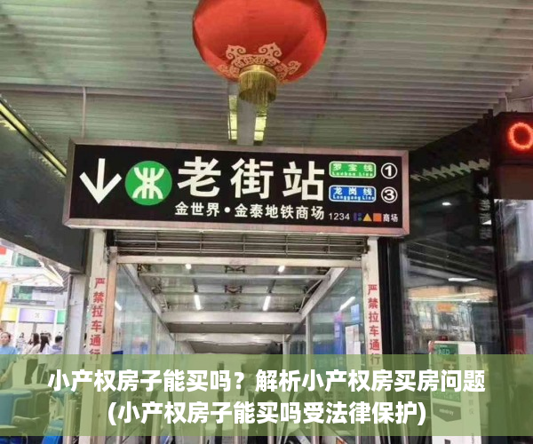 小产权房子能买吗？解析小产权房买房问题(小产权房子能买吗受法律保护)