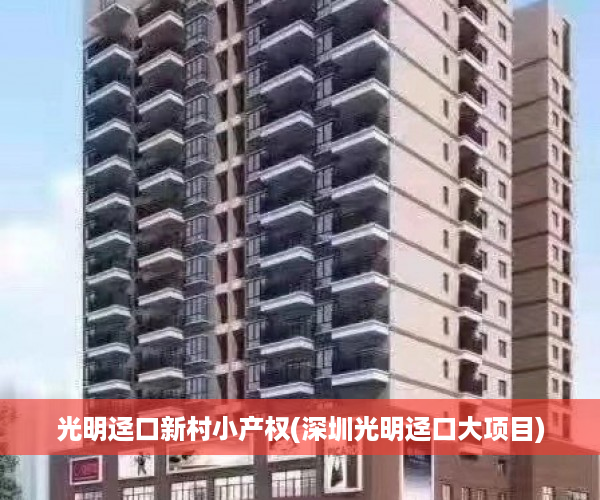 光明迳口新村小产权(深圳光明迳口大项目)