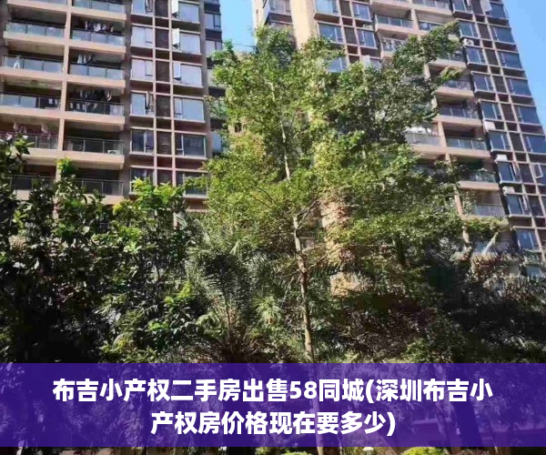 布吉小产权二手房出售58同城(深圳布吉小产权房价格现在要多少)