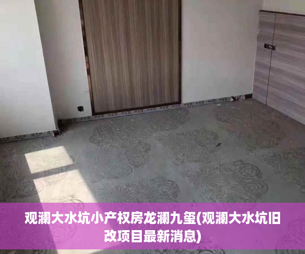 观澜大水坑小产权房龙澜九玺(观澜大水坑旧改项目最新消息)