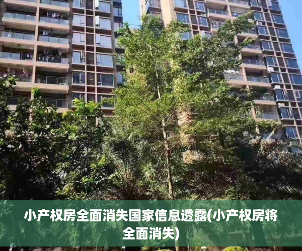 小产权房全面消失国家信息透露(小产权房将全面消失)