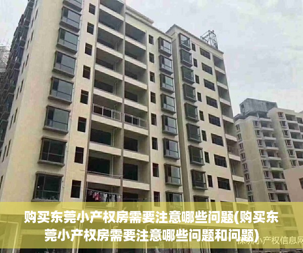 购买东莞小产权房需要注意哪些问题(购买东莞小产权房需要注意哪些问题和问题)