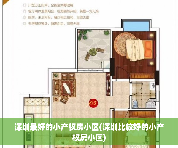 深圳最好的小产权房小区(深圳比较好的小产权房小区)