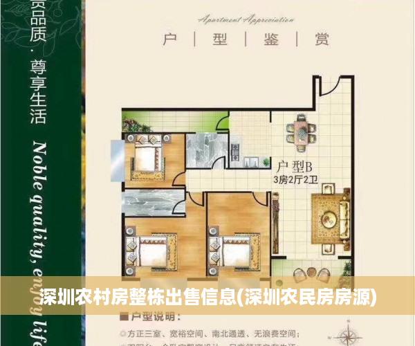 深圳农村房整栋出售信息(深圳农民房房源)