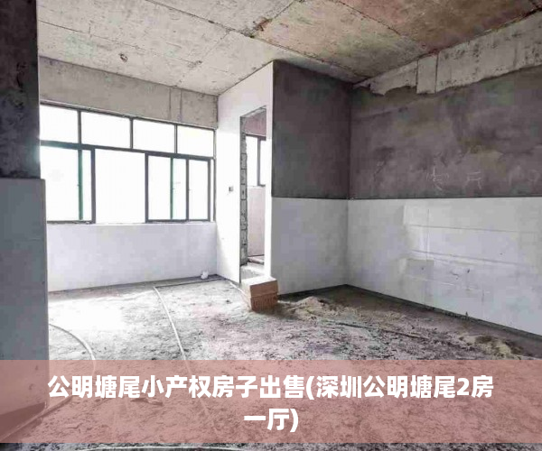 公明塘尾小产权房子出售(深圳公明塘尾2房一厅)