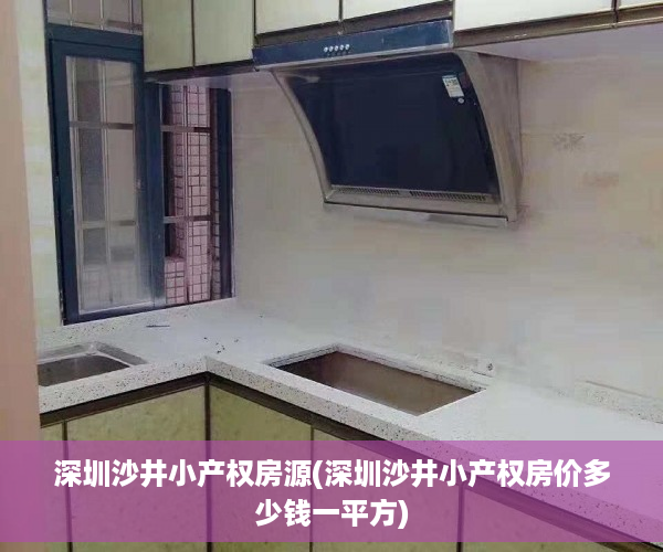 深圳沙井小产权房源(深圳沙井小产权房价多少钱一平方)