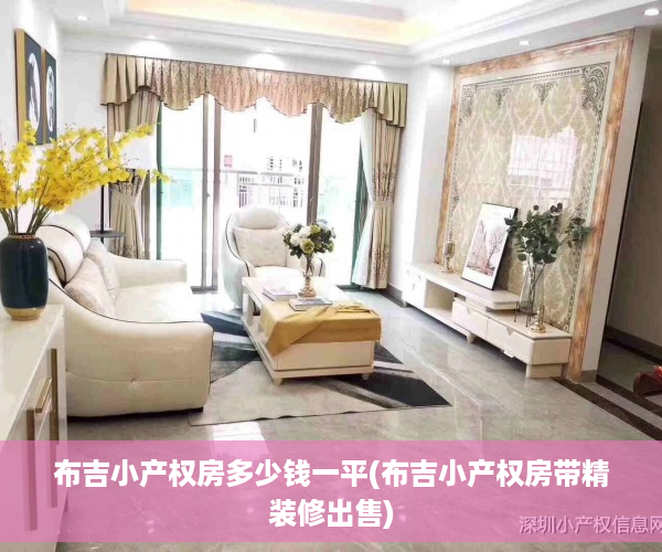 布吉小产权房多少钱一平(布吉小产权房带精装修出售)