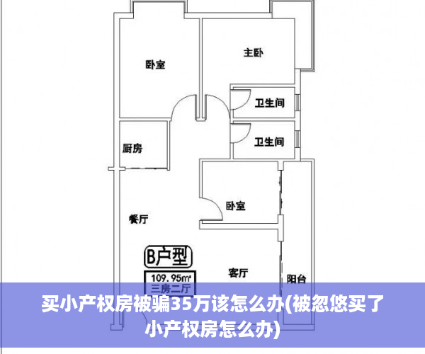 买小产权房被骗35万该怎么办(被忽悠买了小产权房怎么办)