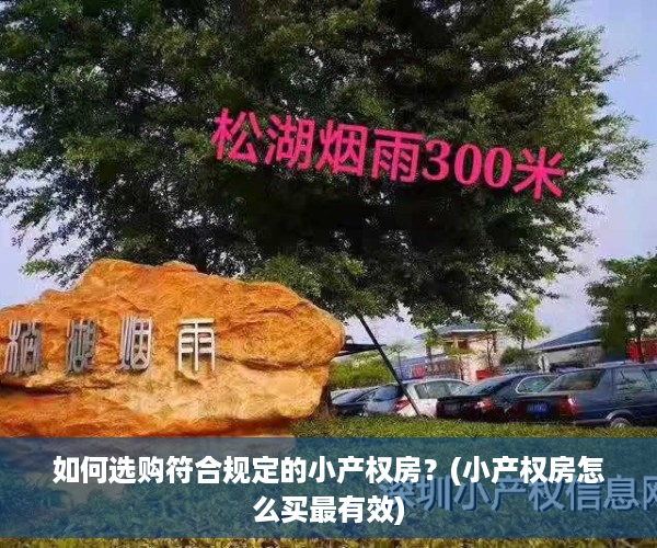 如何选购符合规定的小产权房？(小产权房怎么买最有效)
