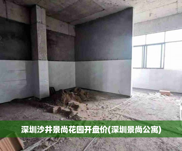 深圳沙井景尚花园开盘价(深圳景尚公寓)