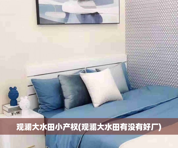 观澜大水田小产权(观澜大水田有没有好厂)