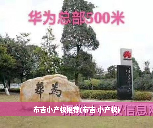 布吉小产权推荐(布吉 小产权)