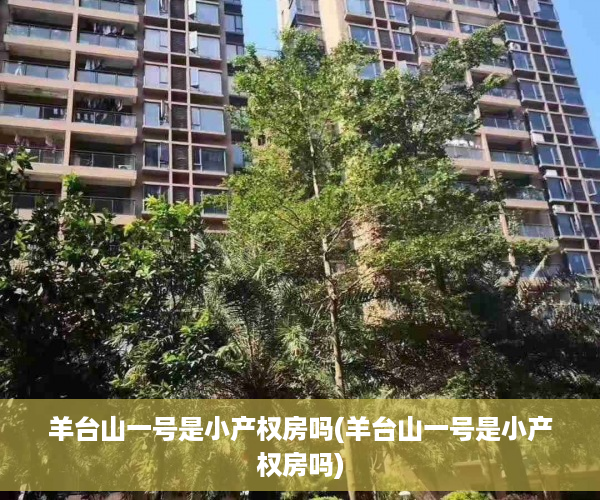 羊台山一号是小产权房吗(羊台山一号是小产权房吗)