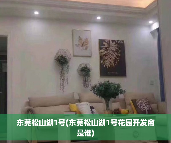 东莞松山湖1号(东莞松山湖1号花园开发商是谁)