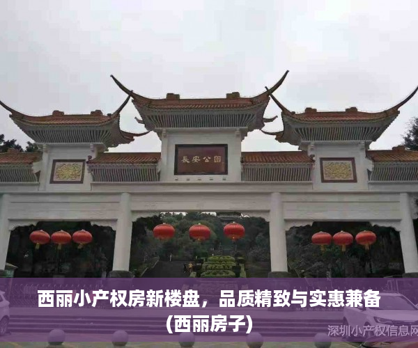 西丽小产权房新楼盘，品质精致与实惠兼备(西丽房子)
