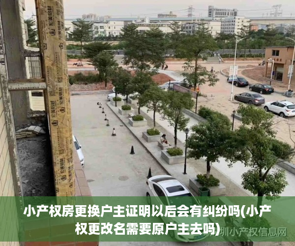 小产权房更换户主证明以后会有纠纷吗(小产权更改名需要原户主去吗)