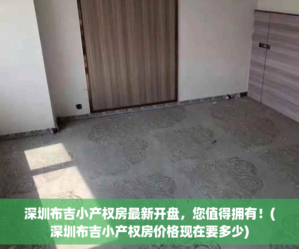 深圳布吉小产权房最新开盘，您值得拥有！(深圳布吉小产权房价格现在要多少)