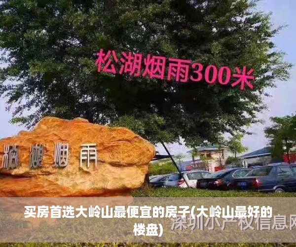 买房首选大岭山最便宜的房子(大岭山最好的楼盘)