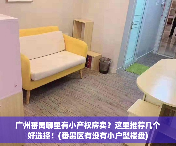 广州番禺哪里有小产权房卖？这里推荐几个好选择！(番禺区有没有小户型楼盘)