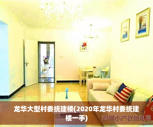 龙华大型村委统建楼(2020年龙华村委统建楼一手)